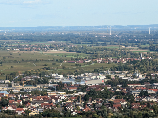 Rhodt, rund um Edenkoben,
13. Oktober 2024
